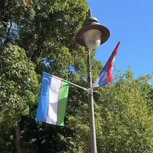 "NISAM ZNALA DA SAM SLETELA U UZBEKISTAN": Amerikanka došla u Srbiju, pa udarila po živom i mrtvom, "ZABOGA LJUDI"