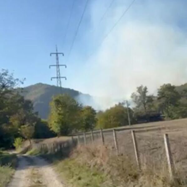 Vatra guta šumu kod Čačka: Ogroman dim nadvio se nad selom, vatrogasci se bore sa plamenom (FOTO)