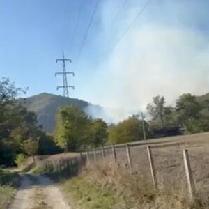 Vatra guta šumu kod Čačka: Ogroman dim nadvio se nad selom, vatrogasci se bore sa plamenom (FOTO)