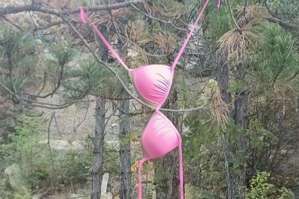 "PLAŠIMO SE DA NIJE NEKI SEKTAŠKI RITUAL" Na drveću kod Priboja RAZAPET DONJI VEŠ: Meštani u VELIKOM ŠOKU I STRAHU!