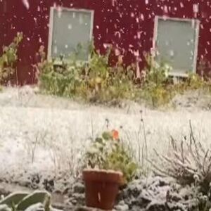 Pao prvi sneg u ovom gradu: Sve se zabelelo, snimak kao iz bajke, veje li veje (VIDEO)