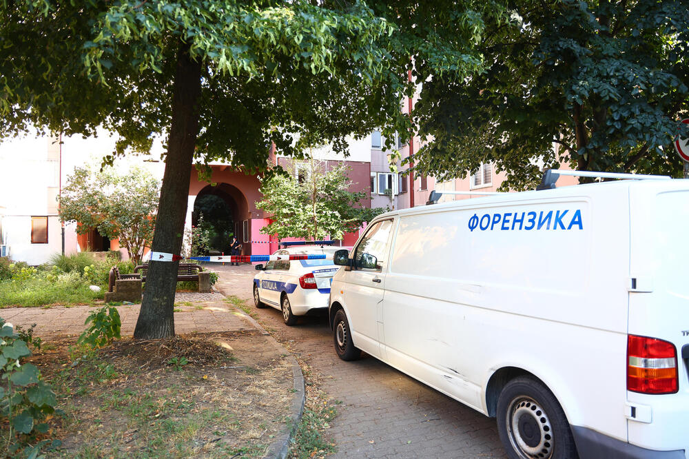 Cepanicom ga krvnički udarao po glavi: Uhapšen muškarac (44) kod Žitišta zbog pokušaja ubistva!
