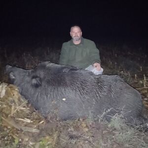 Ulovio grdosiju od skoro 300 kilograma: Dejan nanišanio jednog od najvećih veprova u Srbiji sa 130 metara! FOTO