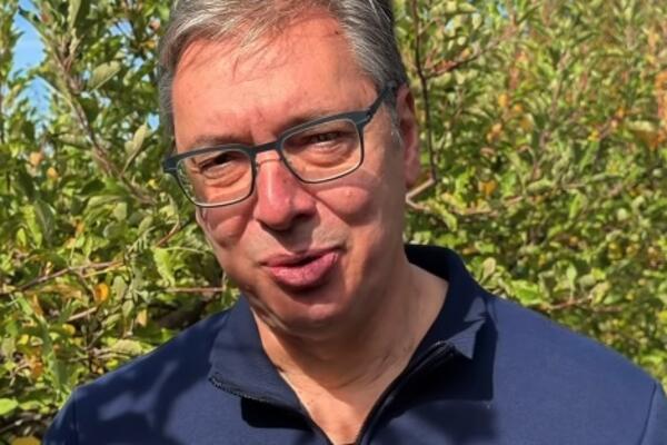 Na nogama od 5, obilazi Srbiju, sluša ljude, rešava probleme: Ovako izgleda jedan običan dan Aleksandra Vučića