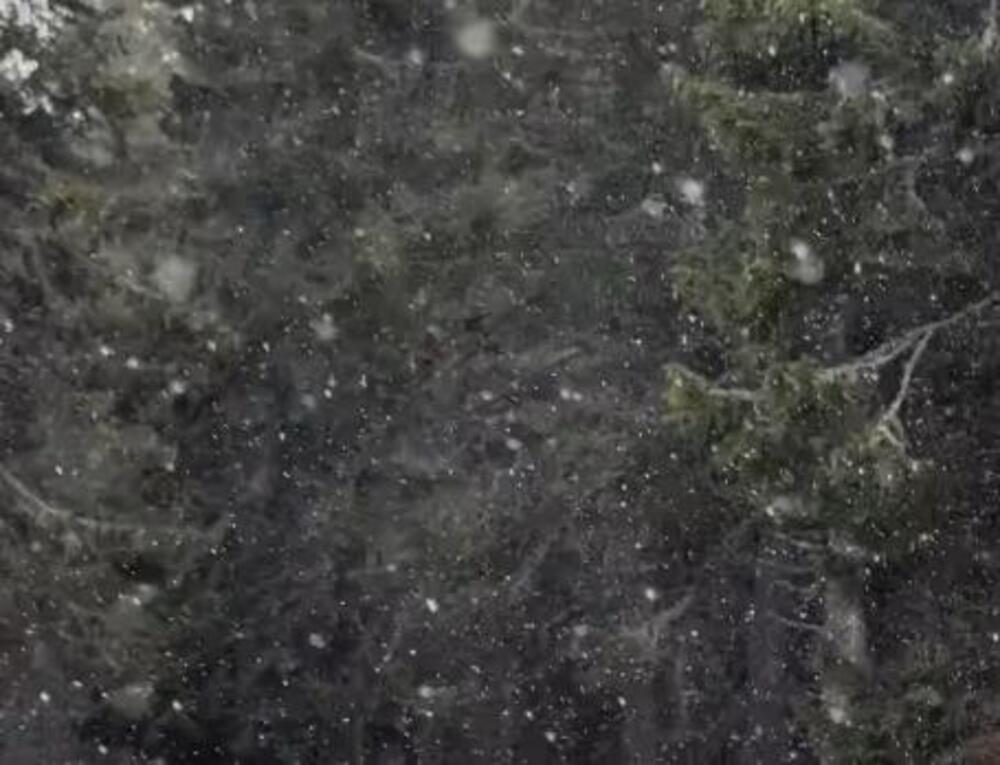 U ovom delu Srbije već veje sneg: Prizor kao iz sredine januara (VIDEO)