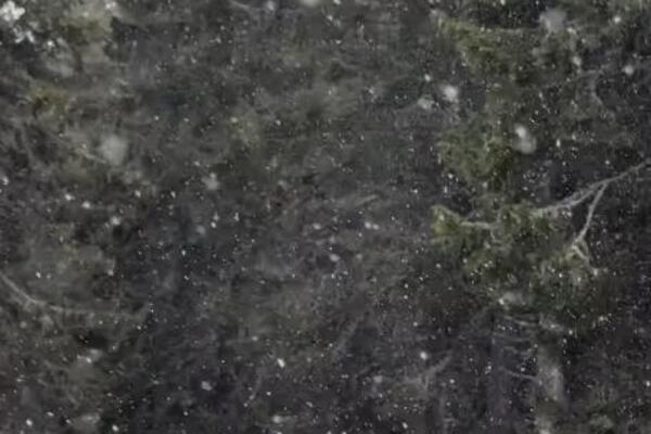 U ovom delu Srbije već veje sneg: Prizor kao iz sredine januara (VIDEO)