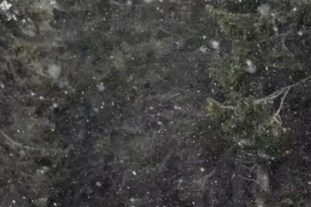 U ovom delu Srbije već veje sneg: Prizor kao iz sredine januara (VIDEO)