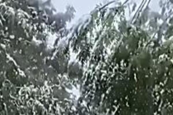 Snimci snega koji je zabeleo ovaj deo Srbije: Prizori kao iz bajke! Temperatura pala na nulu (FOTO/VIDEO)