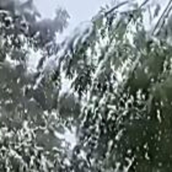 Snimci snega koji je zabeleo ovaj deo Srbije: Prizori kao iz bajke! Temperatura pala na nulu (FOTO/VIDEO)