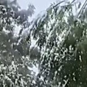Snimci snega koji je zabeleo ovaj deo Srbije: Prizori kao iz bajke! Temperatura pala na nulu (FOTO/VIDEO)