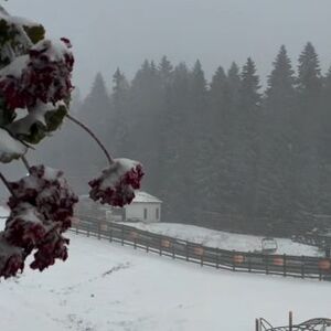 Prizori sa Kopaonika ostavili sve u šoku: Oktobar je, a zabelelo se kao na Severnom polu, samo fale sanke (VIDEO)