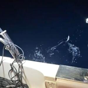 ŠOK U JADRANSKOM MORU! Ribari van sebe kad su videli STVORENJE KOJE JE IZAŠLO IZ VODE: Sija kao srebro, izgleda kao kaiš! Evo šta je potom usledilo (VIDEO)