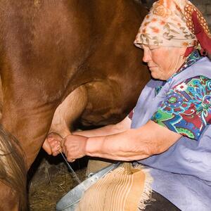 Stana je prodala jedinu kravu da komšijin sin Milan ode na studije: Selo ju je zvalo ludom, a posle 10 godina desilo se nešto neočekivano ispred njene straćare