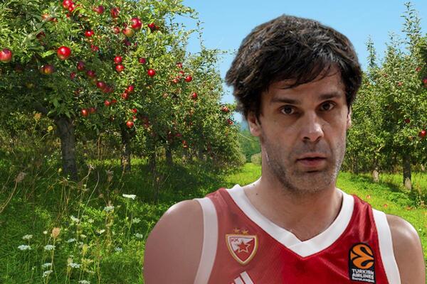 MILOŠ TEODOSIĆ NE MIRUJE U PENZIJI: Košarkaš ulaže novac u važnu granu, pridružiće mu se i porodica