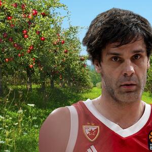 MILOŠ TEODOSIĆ NE MIRUJE U PENZIJI: Košarkaš ulaže novac u važnu granu, pridružiće mu se i porodica