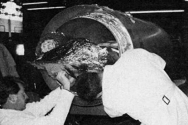 Prvi čovek na svetu zamrznut je 1967. godine: Posle 24 godine su otvorili kapsulu i zatekli neverovatan prizor
