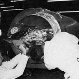 Prvi čovek na svetu zamrznut je 1967. godine: Posle 24 godine su otvorili kapsulu i zatekli neverovatan prizor